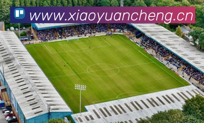 APP 体育赛事宣传图